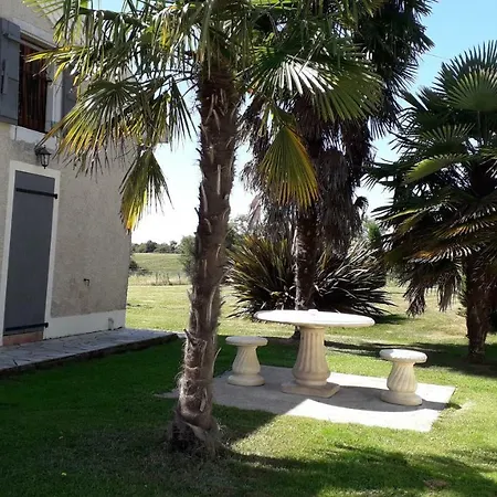 Yanou * Sault-de-Navailles